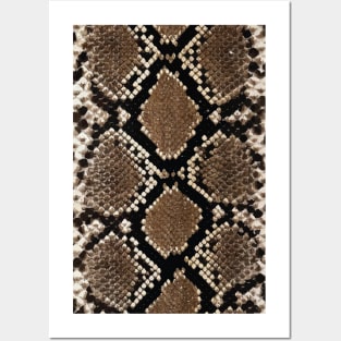 Snake Skin Posters and Art